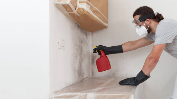 Professional Attic Mold Remediation technician working in Weston, FL