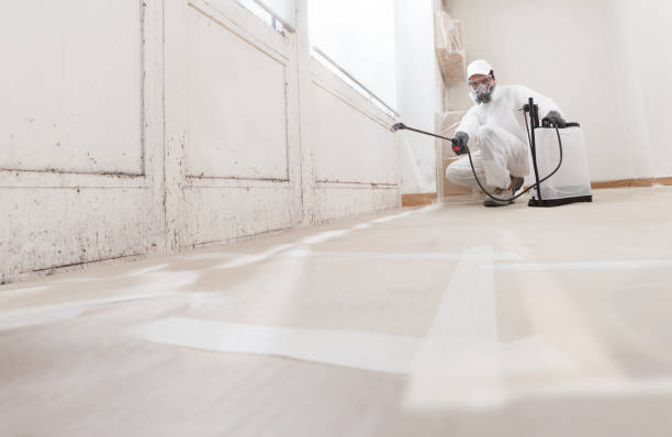 24/7 Emergency Attic Mold Remediation experts in Weston, FL